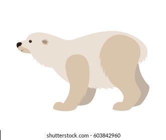 Vector cute simple flat style polar white bear big mammal wild animal zoo illustration