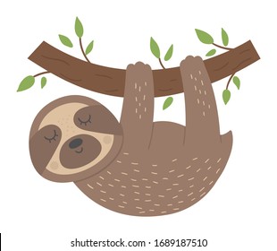 Vector cute sloth hanging on a tree brunch isolated on white background. Funny tropical exotic animal illustration. Bright flat picture for children. Jungle summer clip art