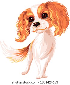 Vector cute smiling dog Cavalier King Charles Spaniel breed