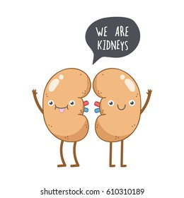 Vector cute smiling kidney. Human internal organ. 