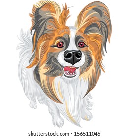 Vector cute smiling Papillon red and black dog with long shaggy ears