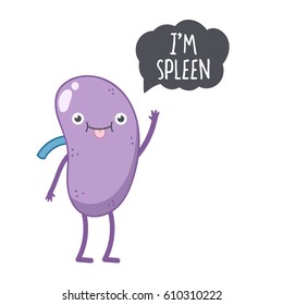 Vector cute smiling spleen