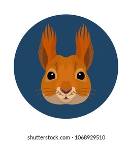 Vector cute squirrel portrait zoo icon