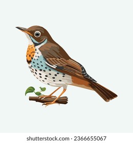 vector cute thrush bird cartoon style