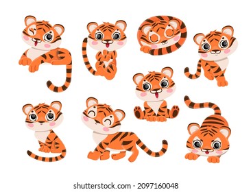 Vector cute tiger cub various positions set . Chinese new year symbol. Cheerful zoo animal, funny wild predator. Happy jungle character for kids design.