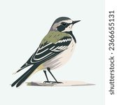 vector cute wagtail cartoon style