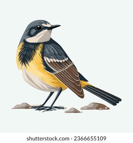 vector cute wagtail cartoon style