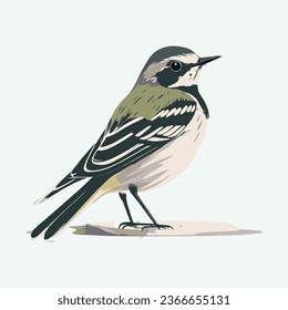 vector cute wagtail cartoon style