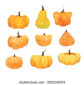 vector cute watercolor pumpkins. botanical set. hand-drawn. typography, textiles pillows, dresses, curtains, notepads, designer paper.