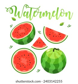 Ilustración del conjunto de sandías lindas vectoras