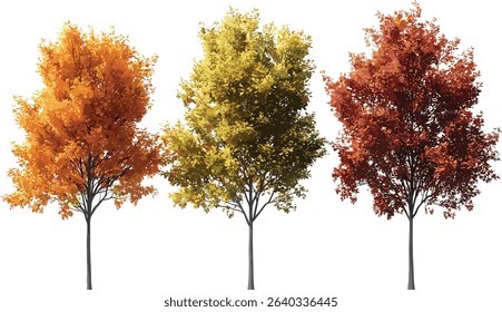 Vector cutout autumn trees colorful foliage isolated backgrounds, fall leaves, nature trees, autumn landscape, colorful leaves, seasonal background, autumn season, foliage design