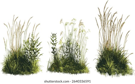 Vector cutout grass field, meadow landscape, transparent background, nature grass shape, summer meadow, green field, eco design, outdoor background, fresh greenery