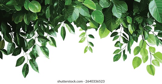 Vector Cutout green leaves tropics foreground on transparent backgrounds, exotic foliage, jungle plant, tropical greenery, nature clipart, botanical elements, rainforest leaf