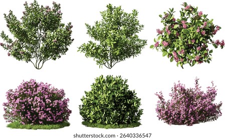 Vector cutout plants trees outdoor flowery shapes, shrubs file, green foliage, nature elements, garden shrubs, landscaping plants, tropical greenery, tree shapes