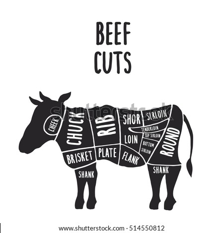 Vector Cuts Beef Handdrawn Butcher Cuts Stock Vector (Royalty Free