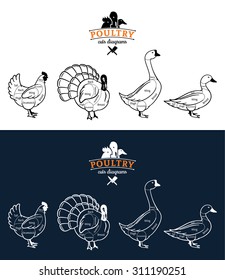 Vector cuts of chicken, turkey, duck and goose diagrams