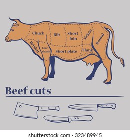 Vector cuts of cow , cuts diagram. Excellent vector illustration, EPS 10