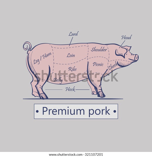 Vector cuts
of pork or butcher cuts scheme of pig. Food steak, belly and
shoulder, hog and swine, bacon and
butchery