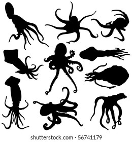 Vector cuttlefish silhouettes collection