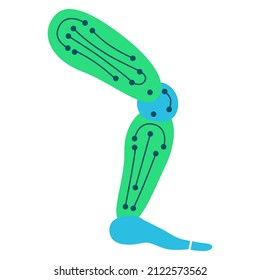 Vector cybernetic leg flat icon. Аrtificial limb icon isolated on white background. Mechanical leg web graphics