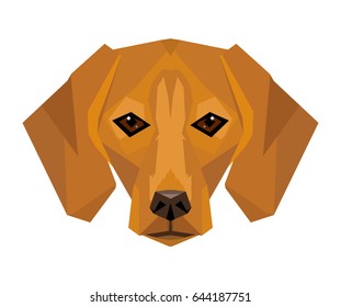 Vector dachshund dog face icon isolated on white background symbol of new year 2018 abstract geometry corner stylized