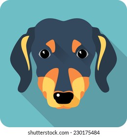 Vector dachshund dog icon flat design 
