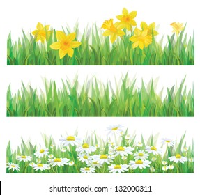 Vector of daffodil flowers, grass and chamomiles isolated for spring and Easter design.