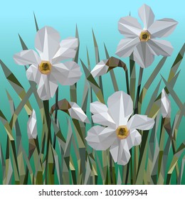  Vector of daffodil flowers isolated. Women s Day