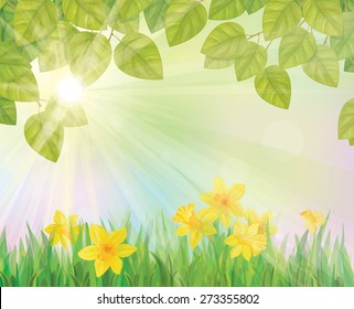 Vector daffodil flowers and leaves border on sunny  background.