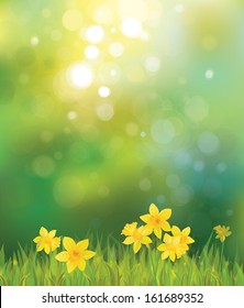 Vector of daffodil flowers on spring background.