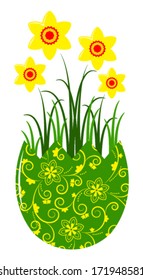 vector daffodils in egg pot isolated on white background