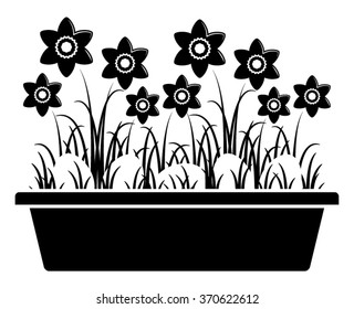 vector daffodils and eggs in planter isolated on white background