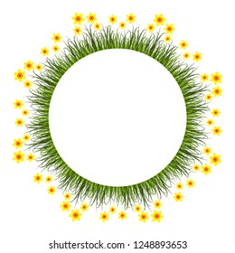 vector daffodils frame isolated on white background