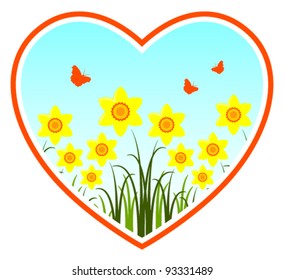 vector daffodils in heart on white background