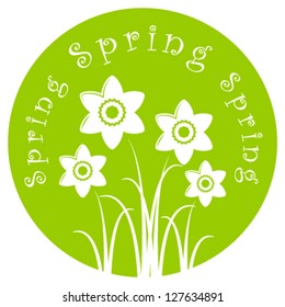 vector daffodils isolated on green round