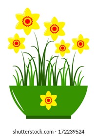 vector daffodils in pot isolated on white background