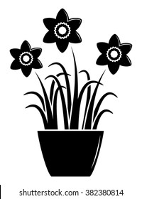 vector daffodils in pot isolated on white background