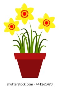 vector daffodils in pot isolated on white background