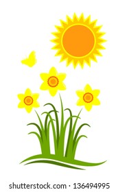 vector daffodils and sun isolated on white background