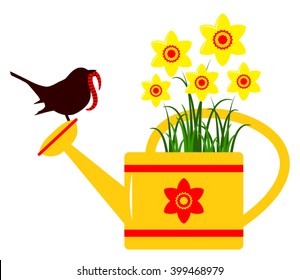 vector daffodils in watering can and bird with worm isolated on white background