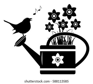 vector daffodils in watering can and bird isolated on white background