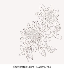 Vector dahlia flower. Autumn flowers bouquet.  Element for design. Hand-drawn contour lines and strokes.