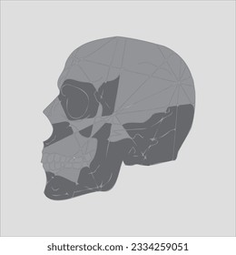 ilustración abstracta de cráneo vectorial diario