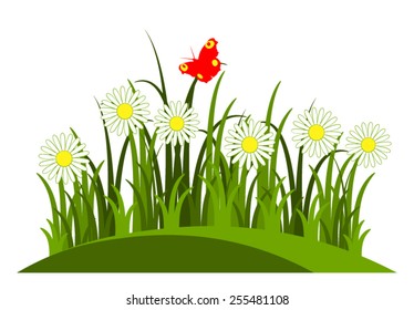 vector daisies in grass isolated on white background
