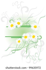 vector daisies with green decor isolated on white