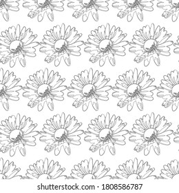 Lot of Vector daisies repeat pattern print