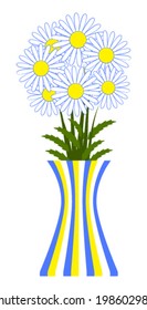 vector daisies in vase isolated on white background