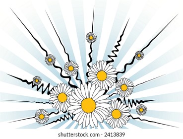 Vector daisy background