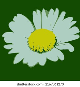 Vector daisy flower on green background