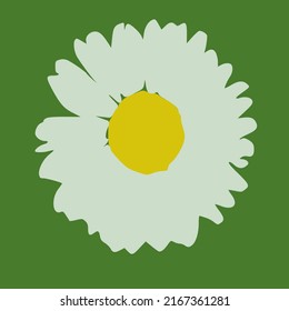 Vector daisy flower on green background